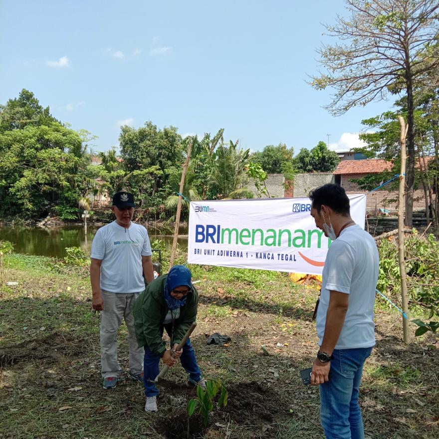 Desa Kalimati desa BRIlian #brimenanam